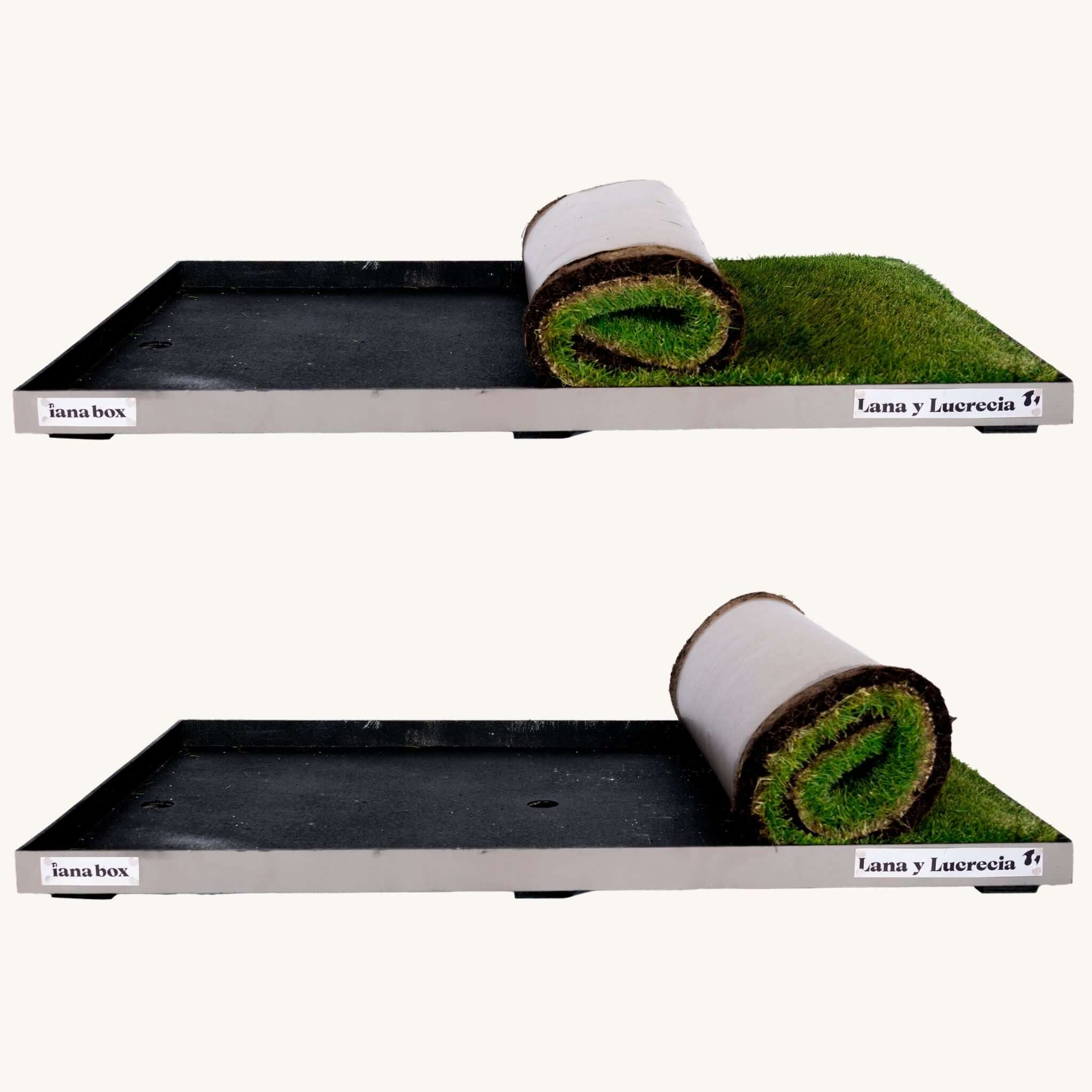 Base para pasto natural para perros | iana box