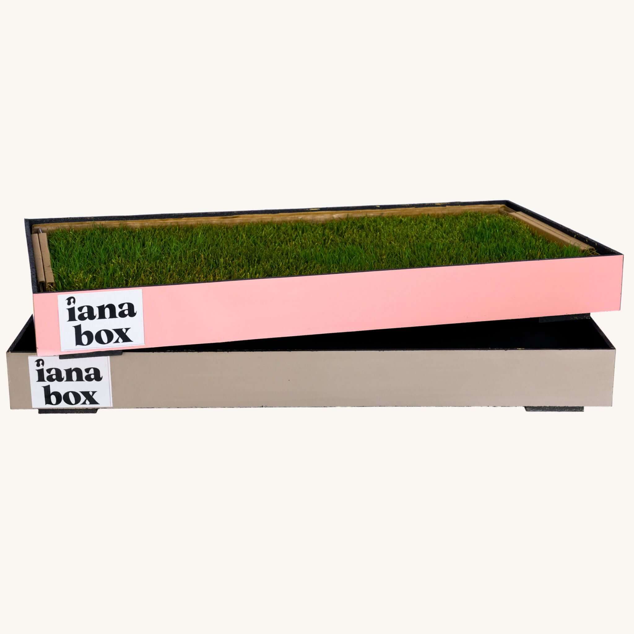 Base para pasto natural para perros | iana box