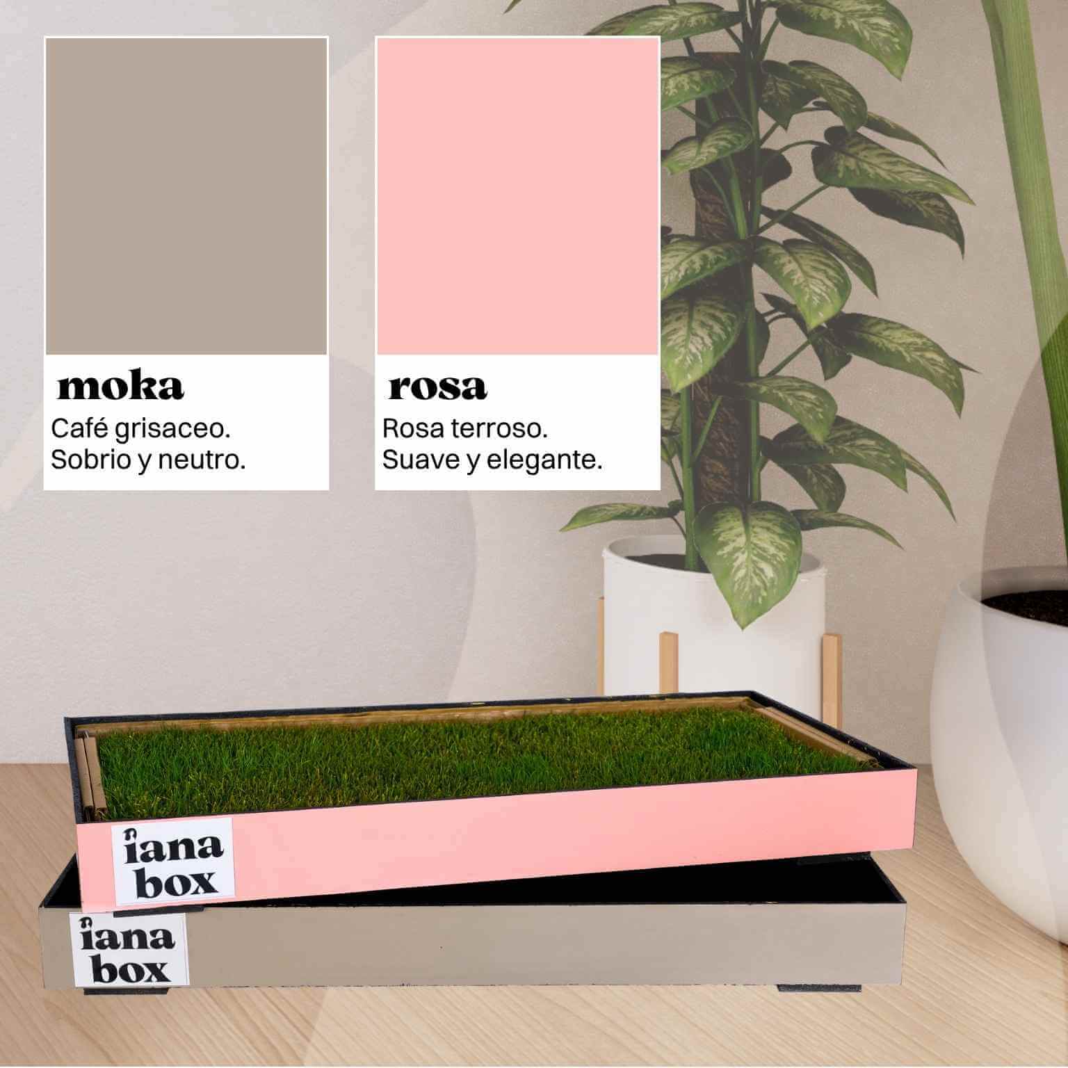 Base para pasto natural para perros | iana box