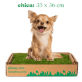 Cargar la imagen en la vista de la galería, baño de pasto natural para perros sin tierra tamaño chico en caja
