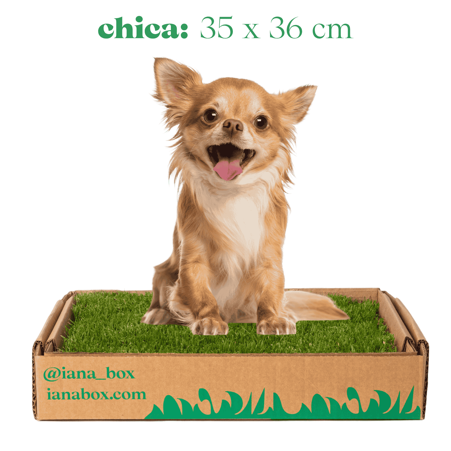 baño de pasto natural para perros sin tierra tamaño chico en caja