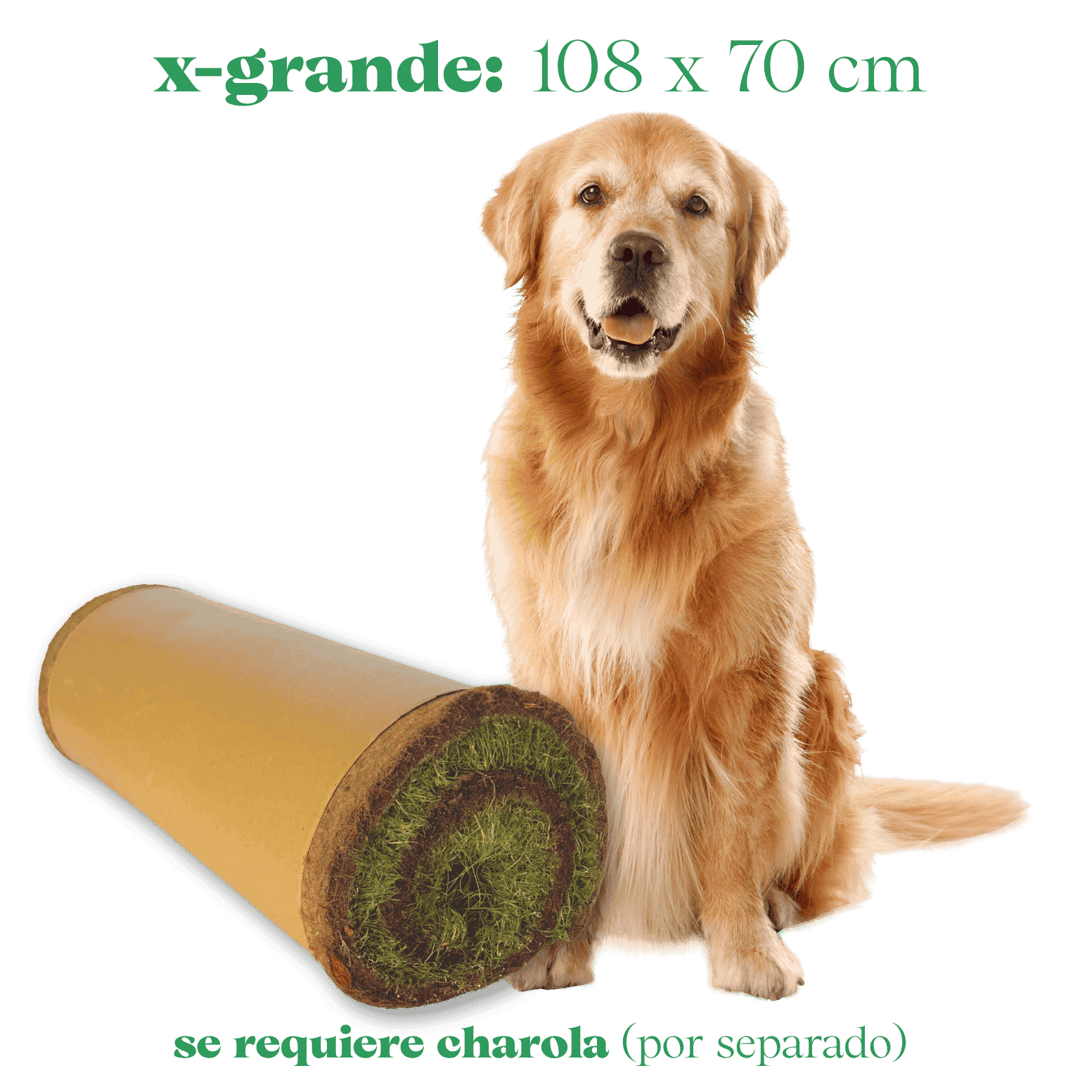 rollo de pasto natural para perros sin tierra tamaño extra grande