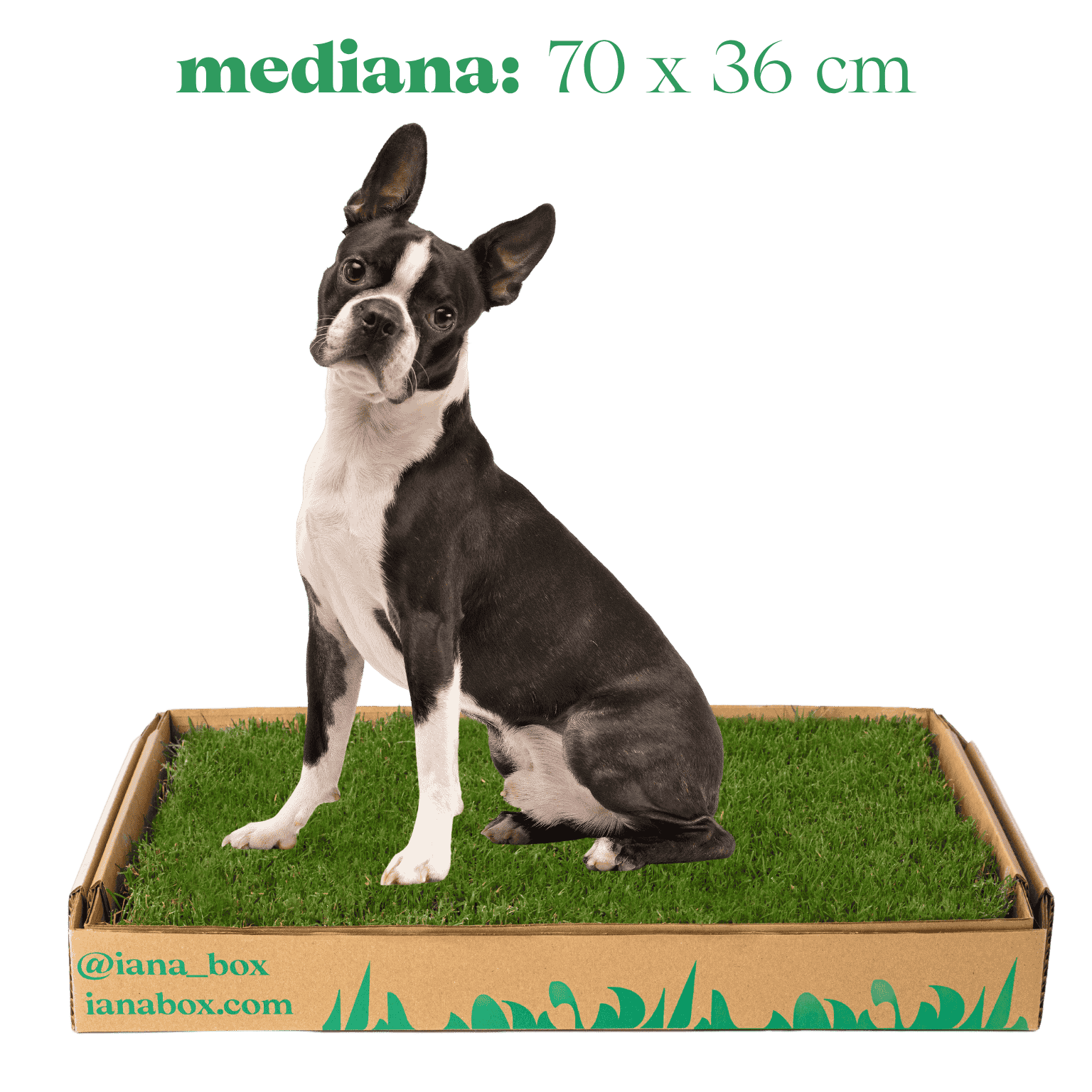 baño de pasto natural para perros sin tierra tamaño mediano en caja