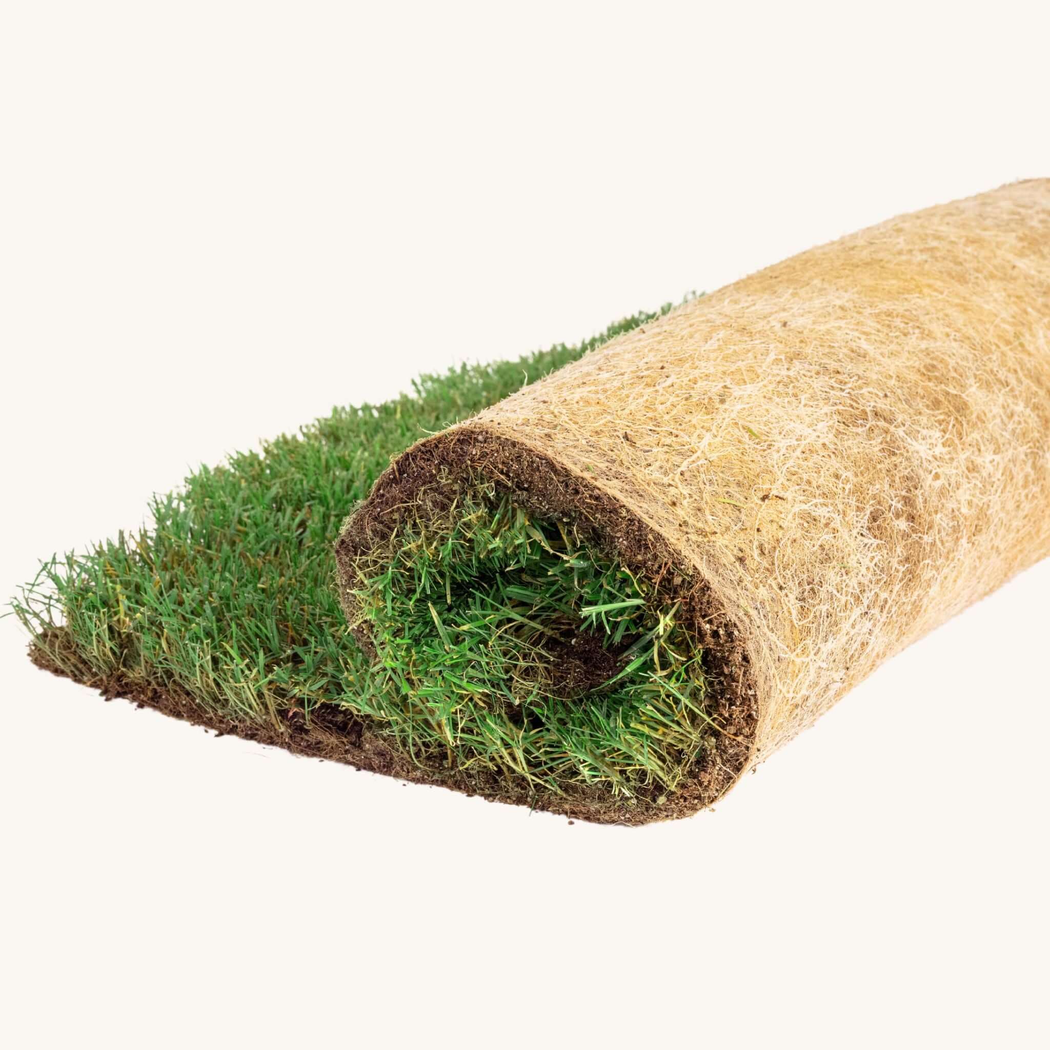 rollo de pasto natural para perros sin tierra