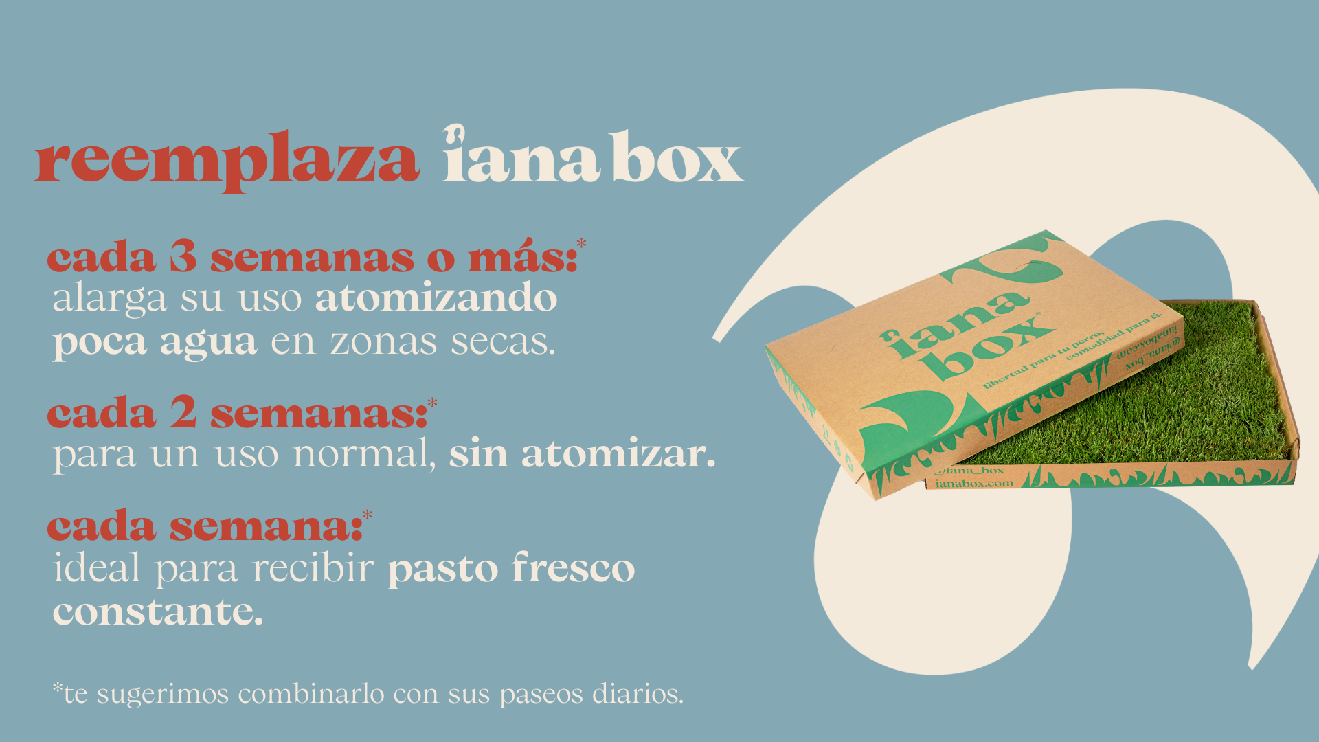 product image iana box