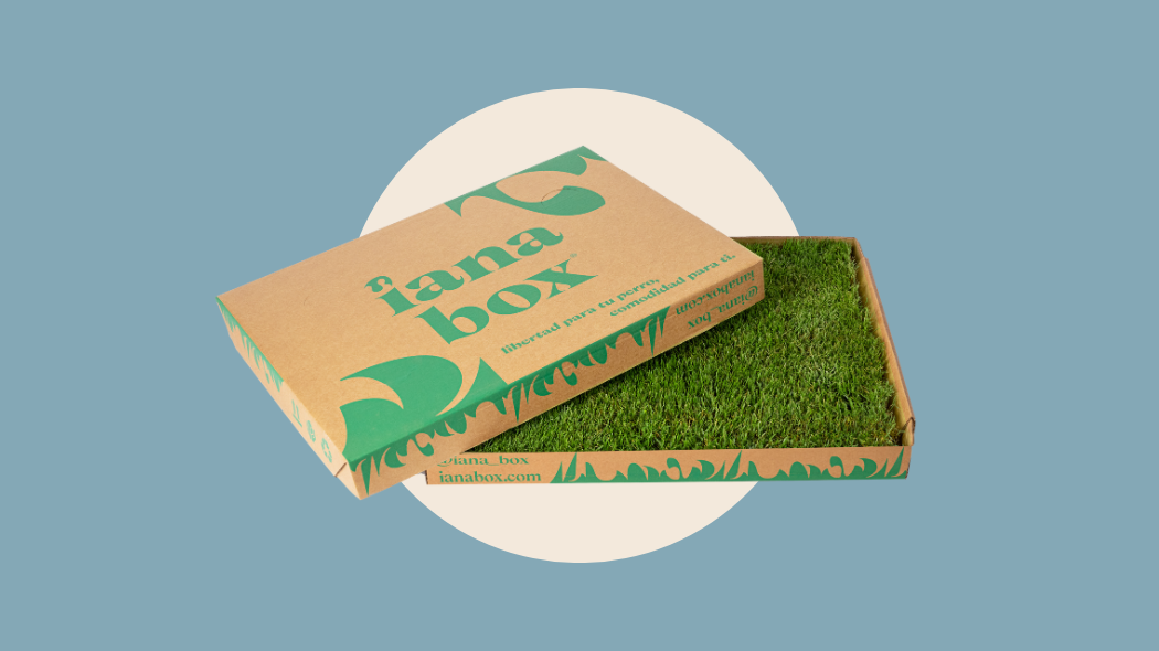 product image iana box